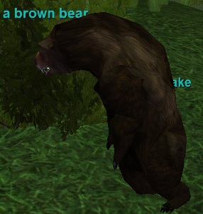 a brown bear